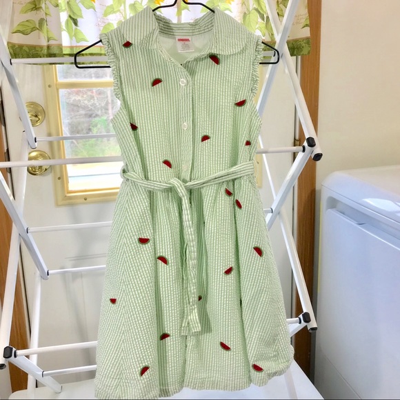 Gymboree Other - Gymboree l Seersucker Appliqué Button Down Dress